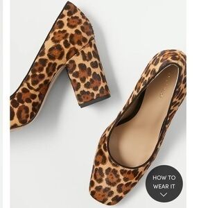 Ann Taylor animal print block heels